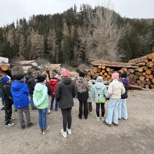 Holz in Sicht!