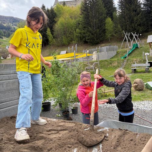 Alle packen fleißig mit an.